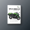 Ninja 1100SX SE Verde Metalico | Cuadro decorativo de Monkey Canvas