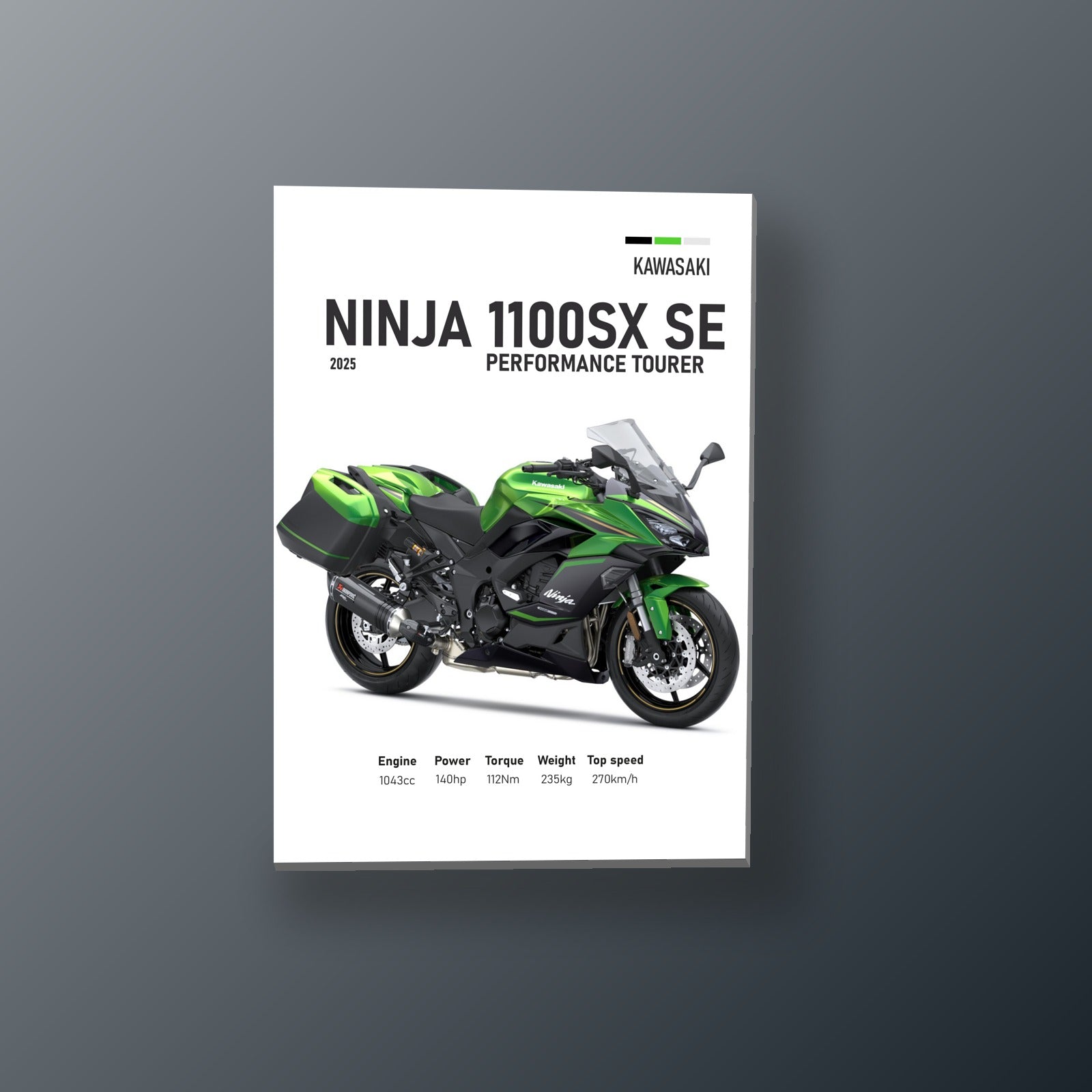 Ninja 1100SX SE Verde Metalico | Cuadro decorativo de Monkey Canvas