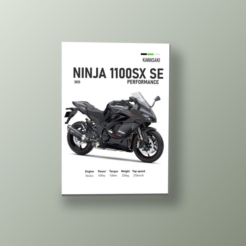 Ninja 1100SX SE Roja y Negra | Cuadro decorativo de Monkey Canvas