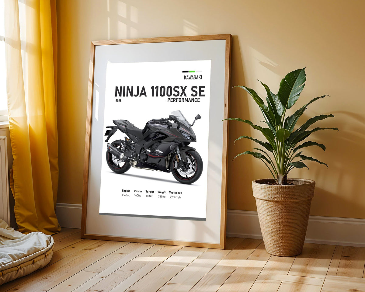 Ninja 1100SX SE Roja y Negra