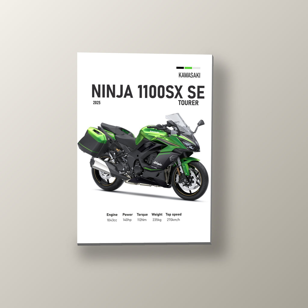 Ninja 1100SX SE Viajera Verde | Cuadro decorativo de Monkey Canvas