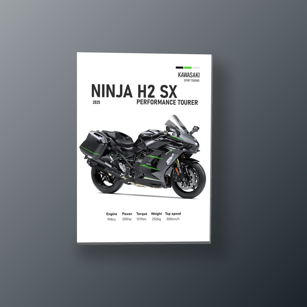 Ninja H2 SX Supercargada | Cuadro decorativo de Monkey Canvas