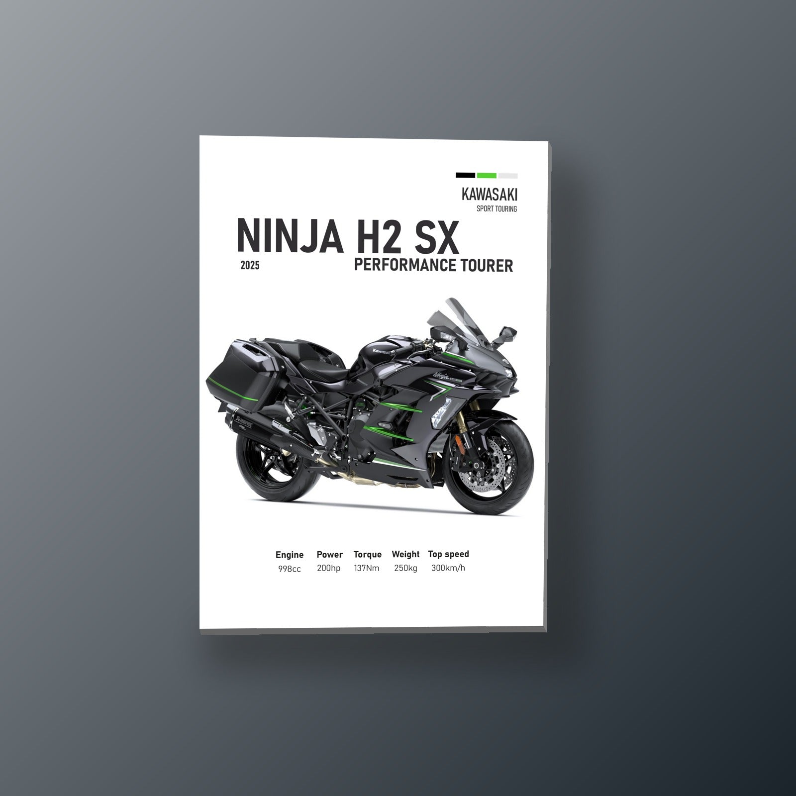 Ninja H2 SX Supercargada | Cuadro decorativo de Monkey Canvas