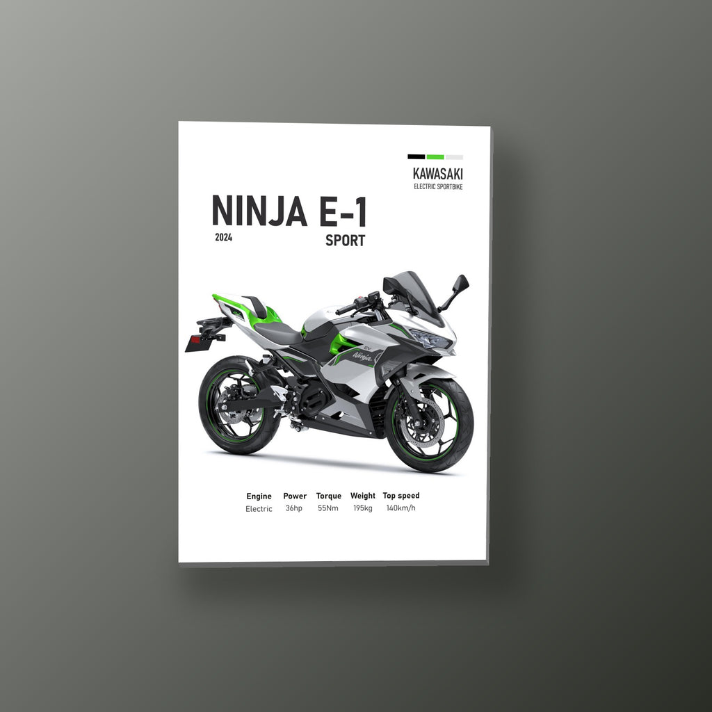 Ninja E-1 Electrica Blanca | Cuadro decorativo de Monkey Canvas
