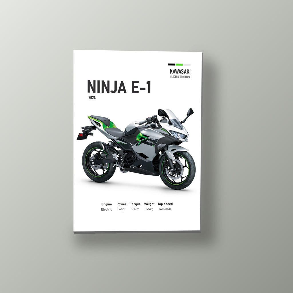 Ninja E-1 Deportiva Verde | Cuadro decorativo de Monkey Canvas