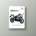 Ninja E-1 Deportiva Verde | Cuadro decorativo de Monkey Canvas