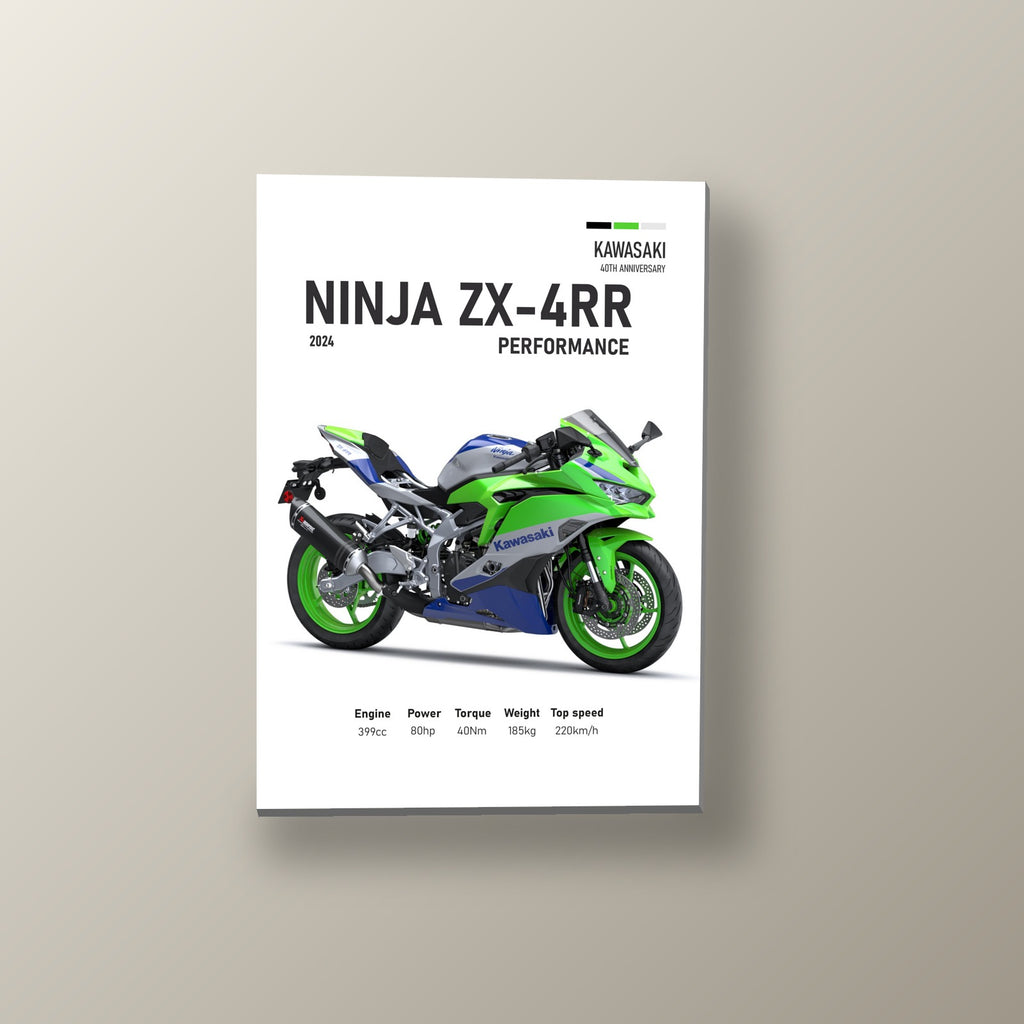 Ninja ZX-4RR Aniversario | Cuadro decorativo de Monkey Canvas