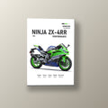 Ninja ZX-4RR Aniversario | Cuadro decorativo de Monkey Canvas