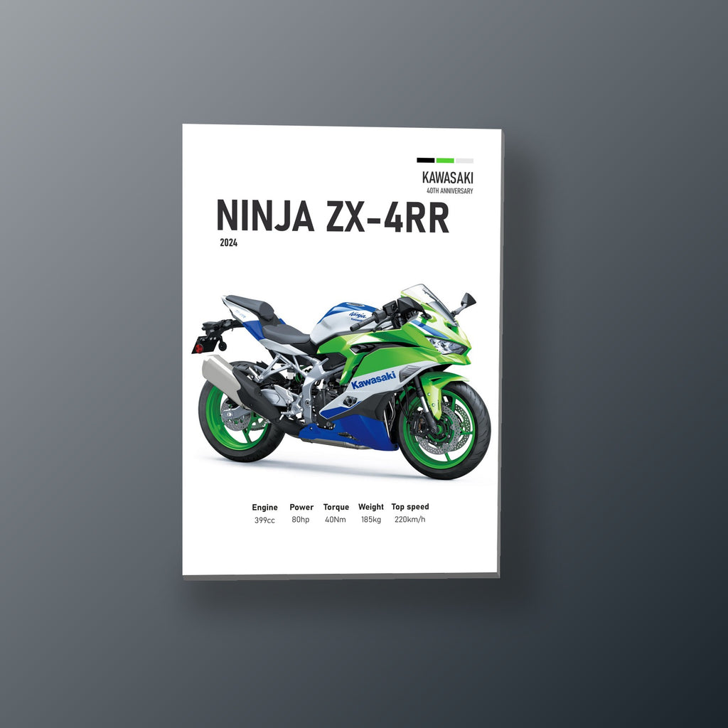 Ninja ZX-4RR Racing Verde | Cuadro decorativo de Monkey Canvas