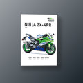 Ninja ZX-4RR Racing Verde | Cuadro decorativo de Monkey Canvas