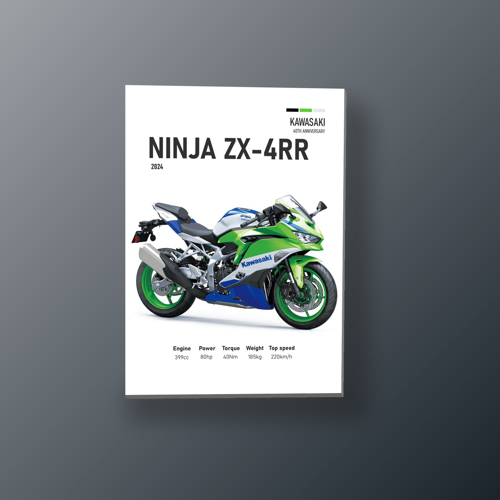 Ninja ZX-4RR Racing Verde | Cuadro decorativo de Monkey Canvas