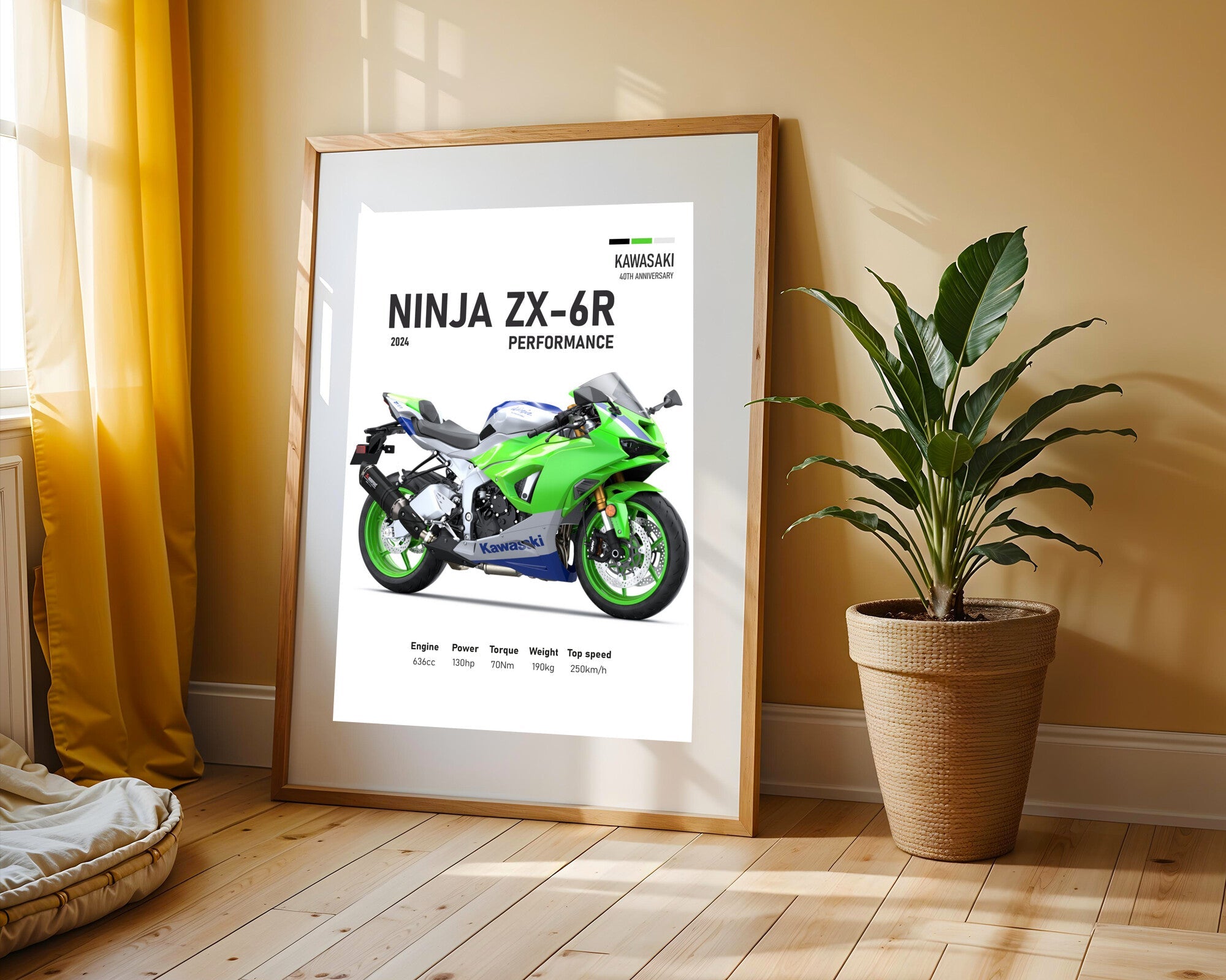 Ninja ZX-6R Aniversario | Cuadro decorativo de Monkey Canvas