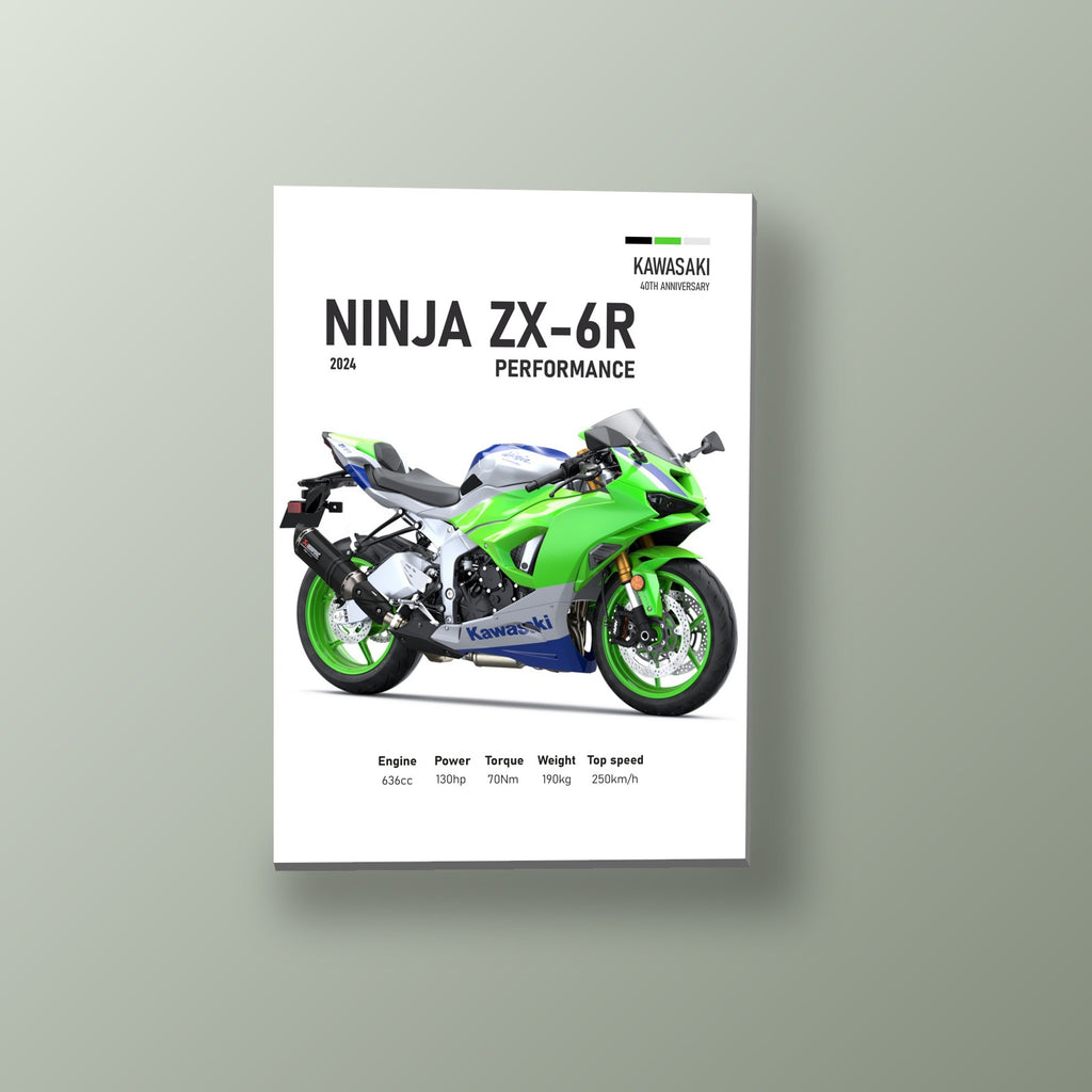 Ninja ZX-6R Aniversario | Cuadro decorativo de Monkey Canvas