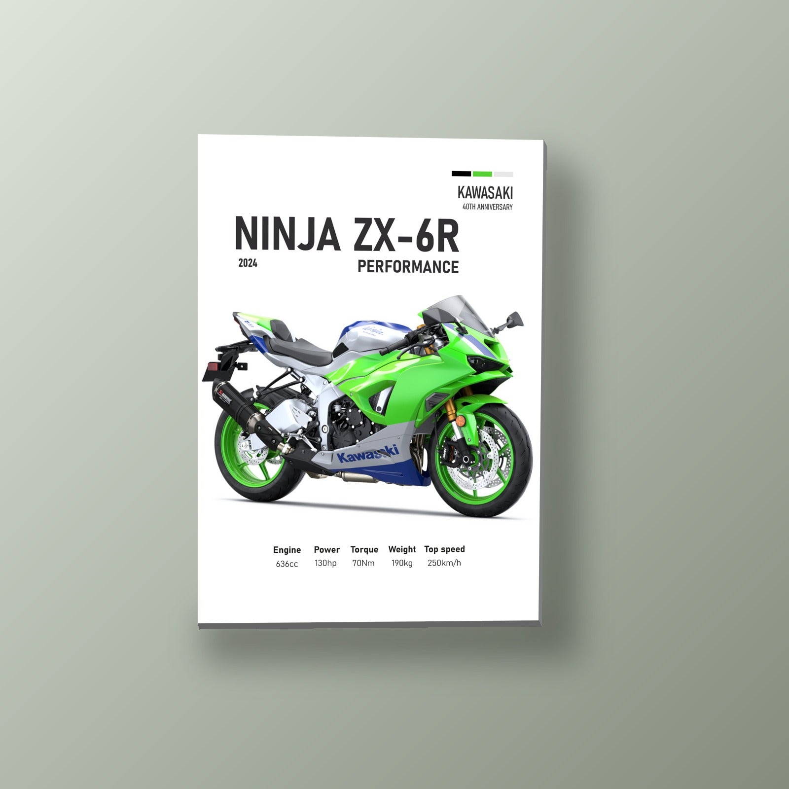 Ninja ZX-6R Aniversario | Cuadro decorativo de Monkey Canvas