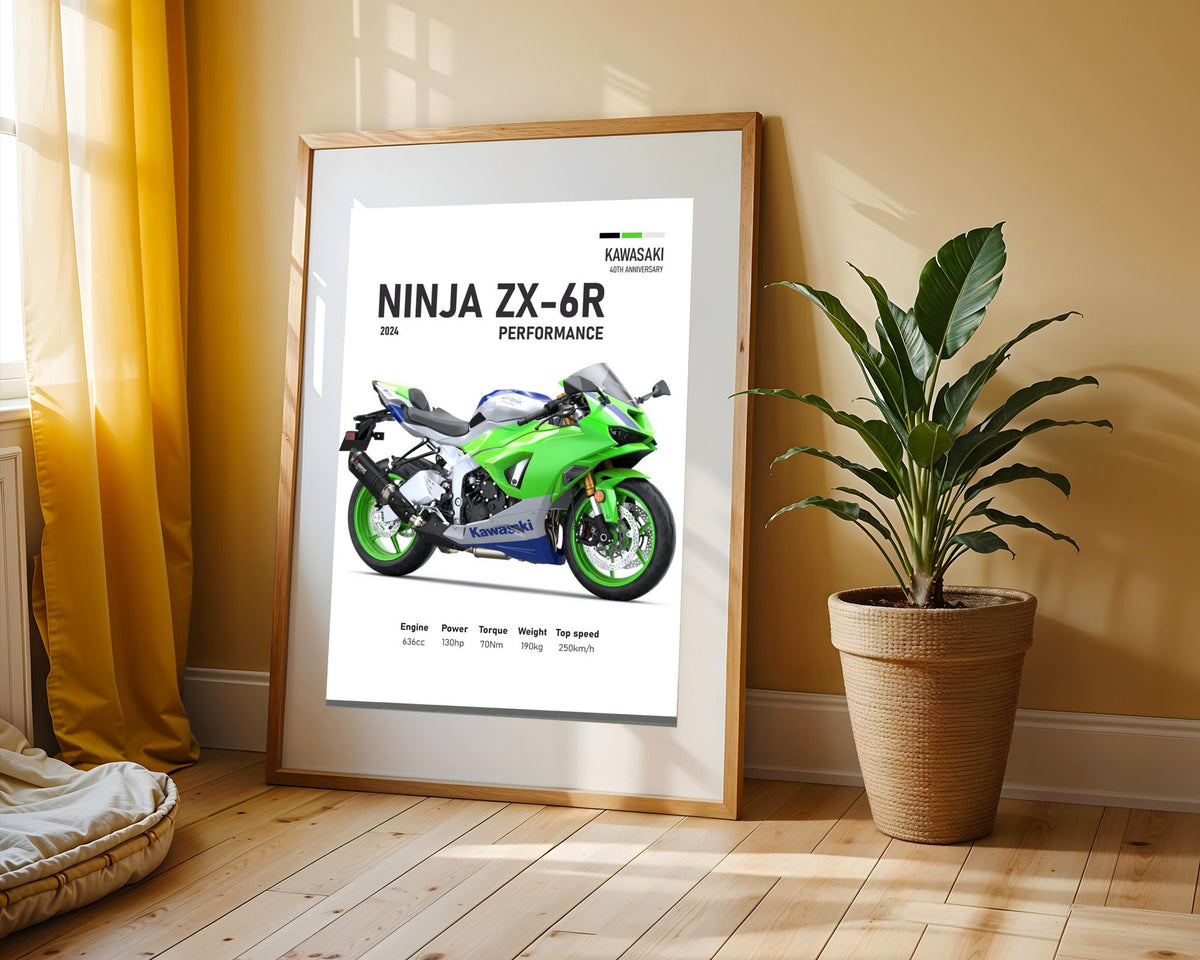 Ninja ZX-6R Aniversario