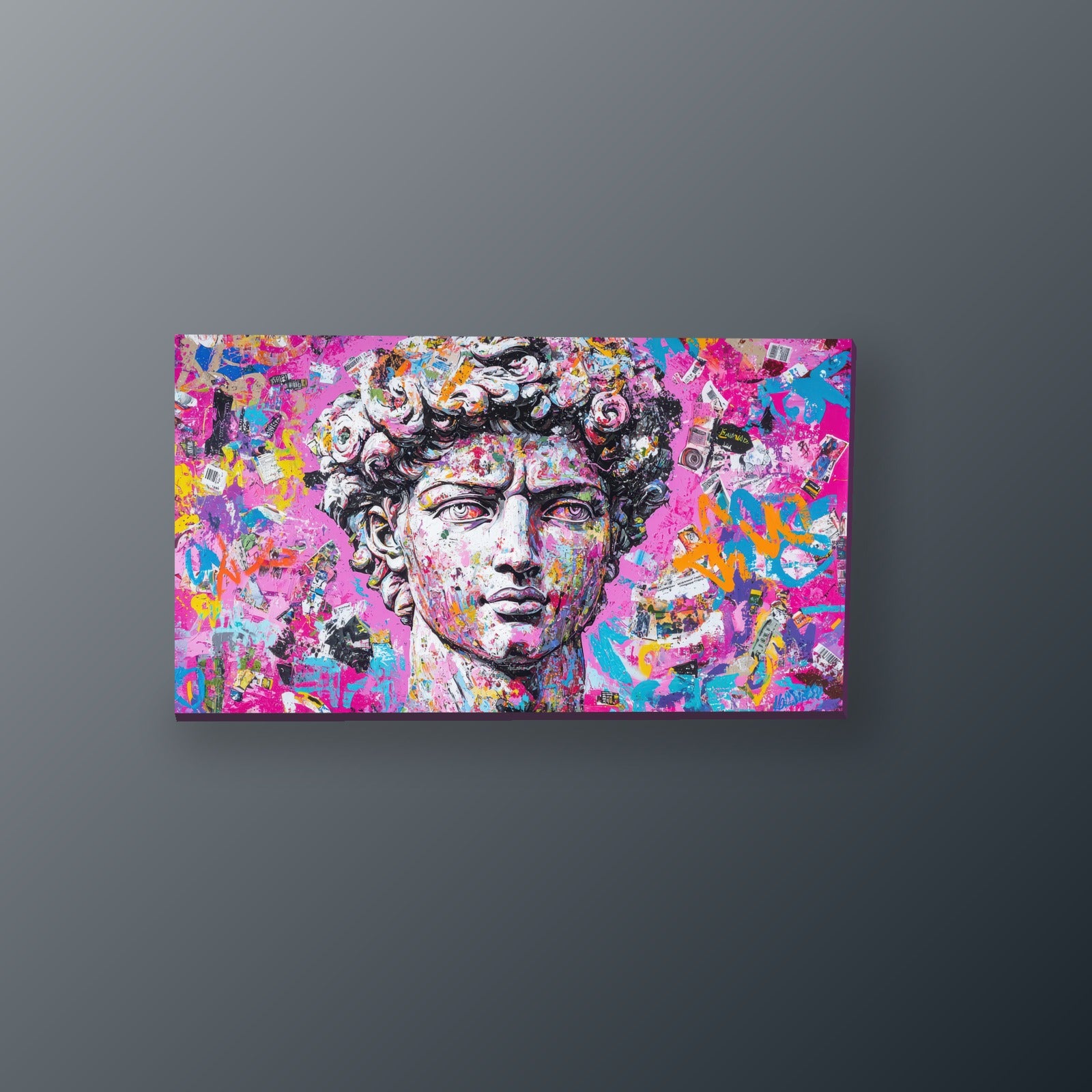 David Pop Grafiti | Cuadro decorativo de Monkey Canvas