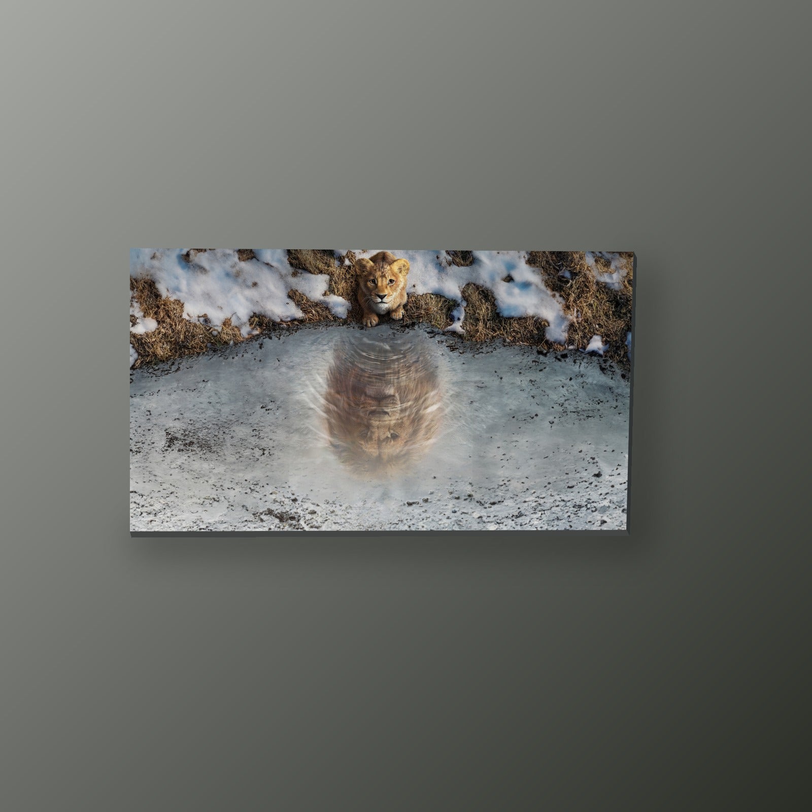 Cachorro de Leon y su Reflejo | Cuadro decorativo de Monkey Canvas