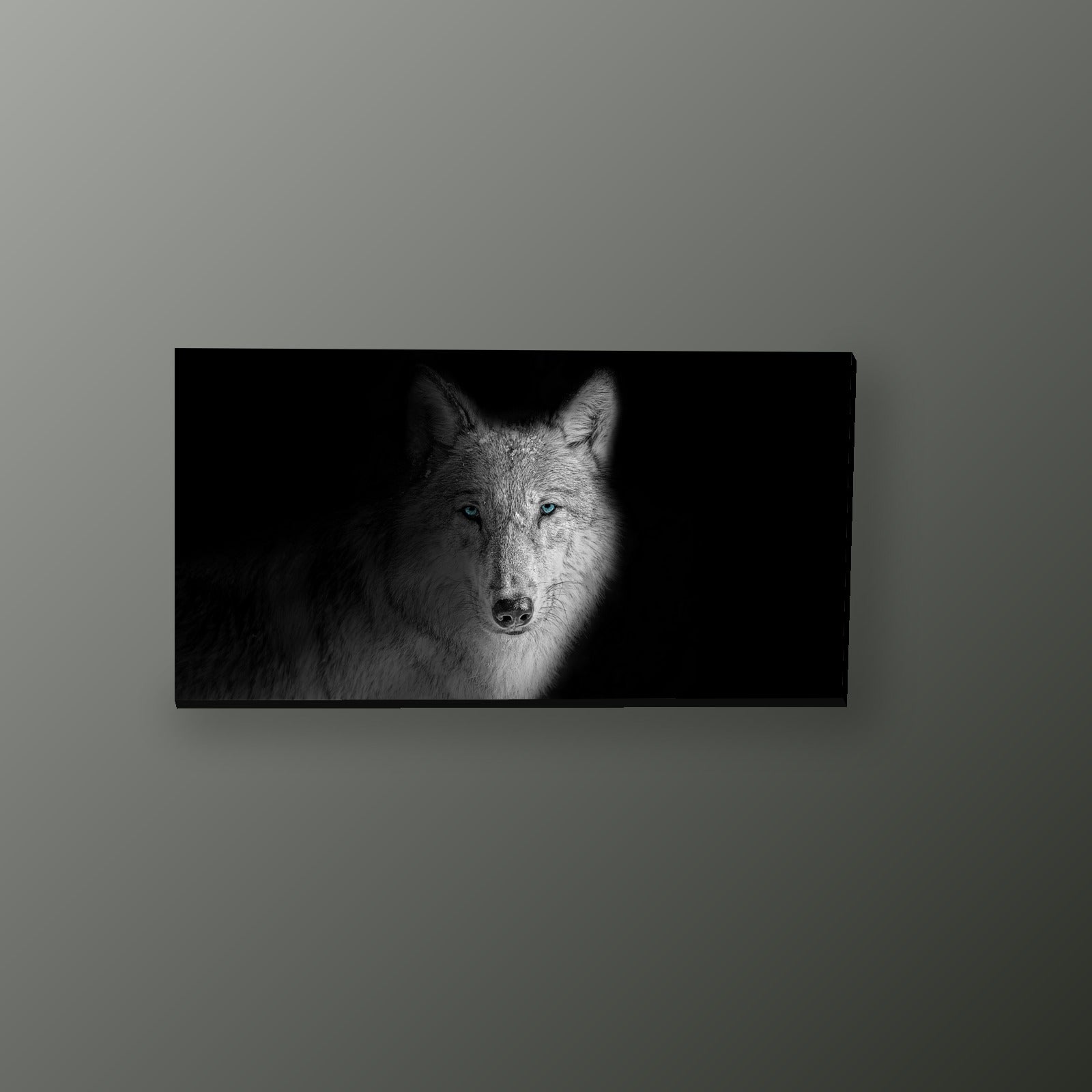 Lobo Blanco y Negro Ojos Azules | Cuadro decorativo de Monkey Canvas