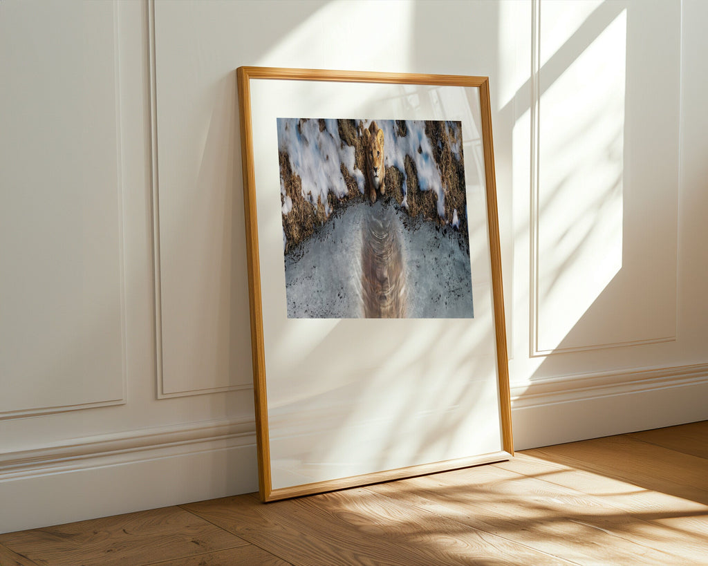 Cachorro de Leon y su Reflejo | Cuadro decorativo de Monkey Canvas