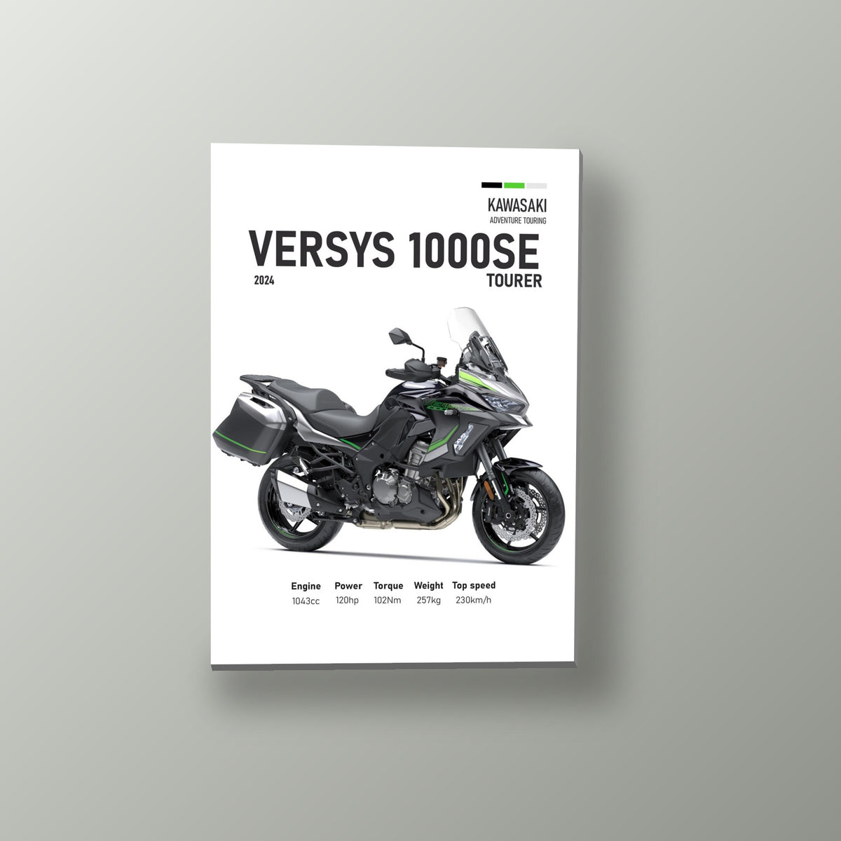 Pósters Racer - Moto Deportiva 11