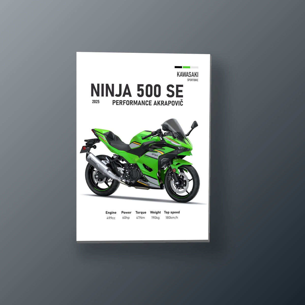 Pósters Racer - Moto Deportiva 29