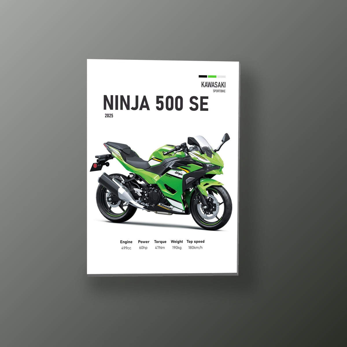 Pósters Racer - Moto Deportiva 31
