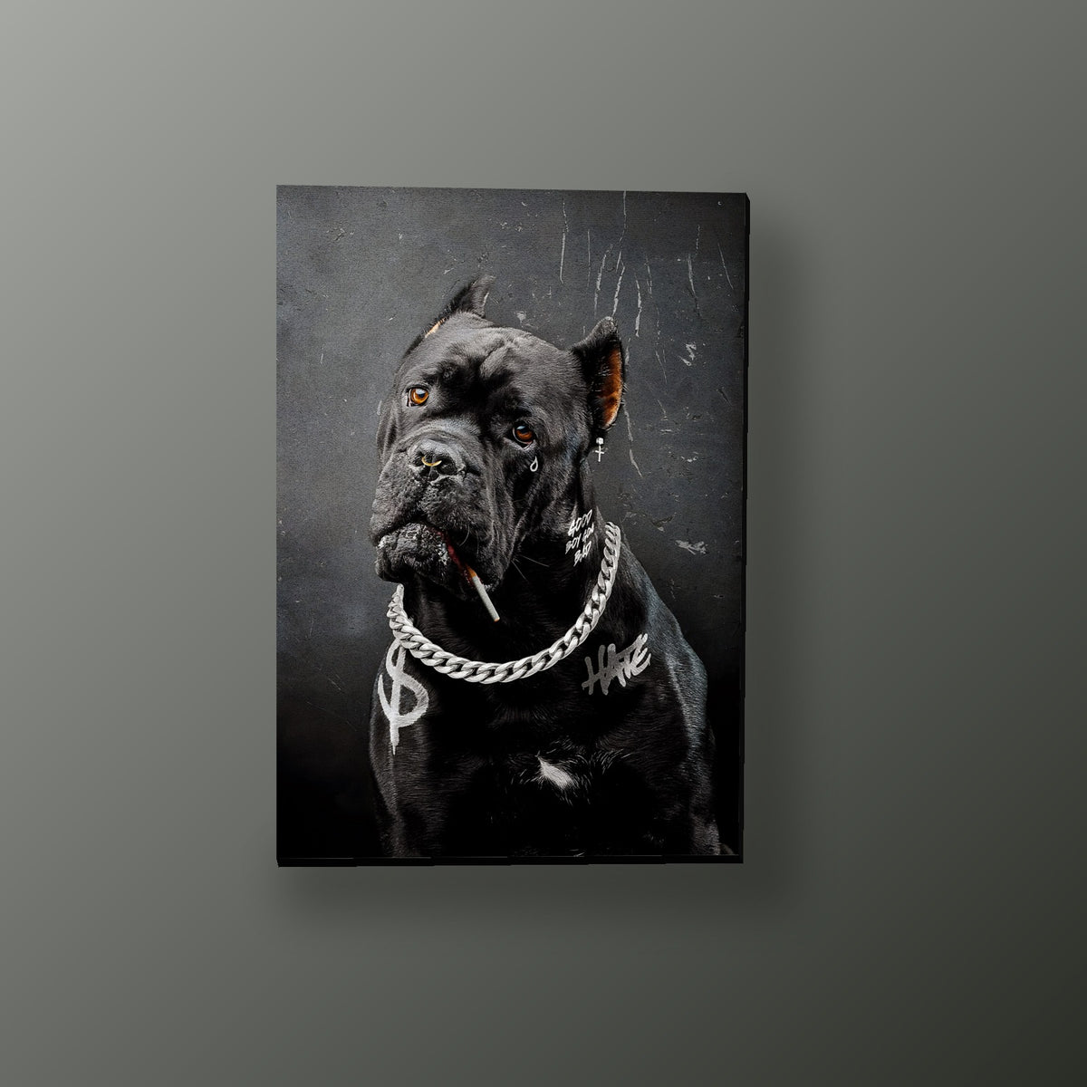 Arte Vandalizado - Perro Estilo Urbano